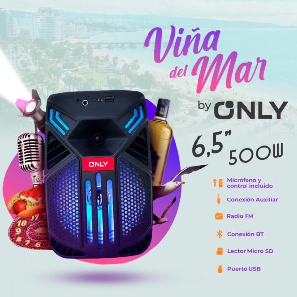 Parlante 6.5" Portátil Bluetooth Only KARAOKE