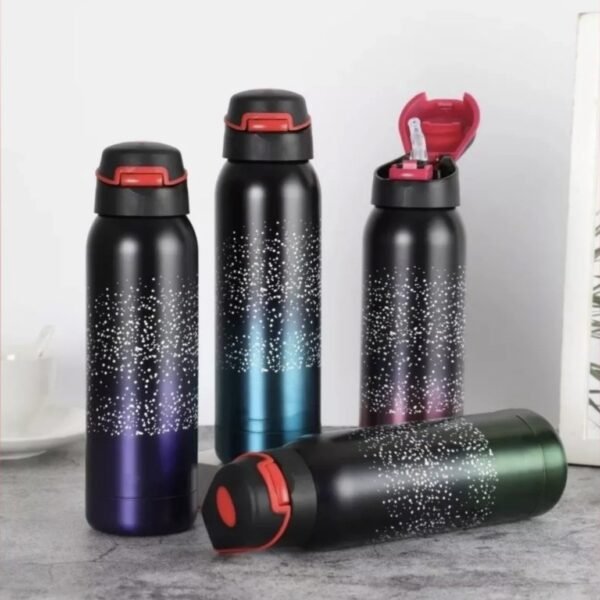 Botella Térmica con